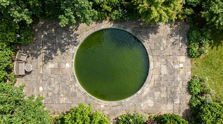 Grünes Poolwasser durch Algenbefall – trüber Pool vor der Behandlung mit Algenvernichter