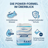 Aquakern Anti-Grün Set – Chlorgranulat 5 kg + Algenvernichter Power 5 L | Soforthilfe gegen grünes Poolwasser | für Schock- & Stoßchlorung